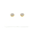 10K 0.04ct Diamond earrings - UN-0500