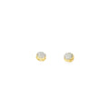 10K 0.05Ct Diamond earring - UN-0395