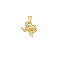 10K Gold Texas State CZ Pendant with Diamond-Cut Design