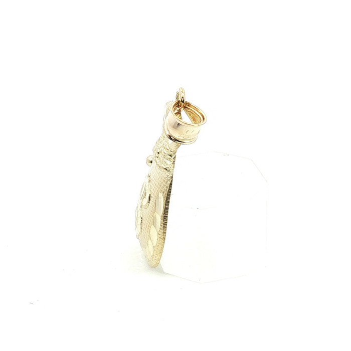 10k Textured Yellow Gold Dollar Money Bag Charm Pendant