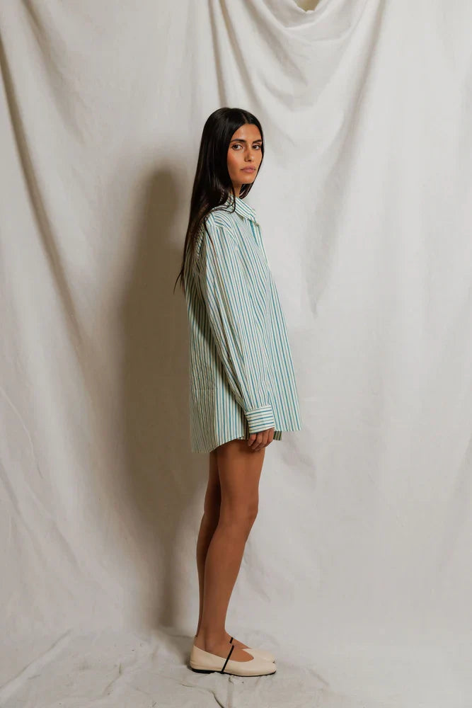 Avalon Button Down