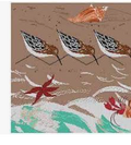 Beach Birds