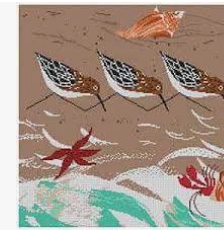 Beach Birds