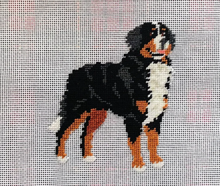 Bernese Mountain Dog