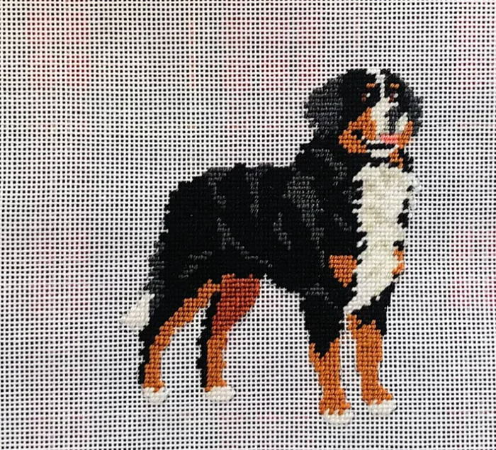 Bernese Mountain Dog
