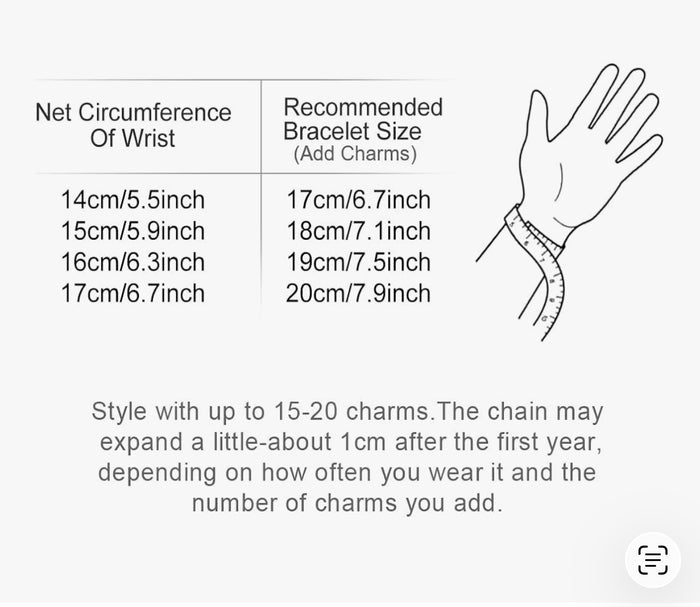 Blank Sterling Silver Charm Bracelet