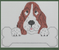Bone Basset Hound