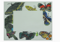 Butterfly Frame
