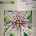 Clematis
