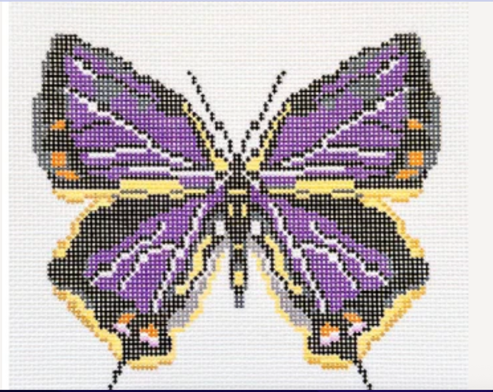 Colorado Butterfly
