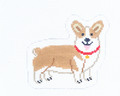 Corgi