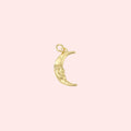 Crescent Moon Charm