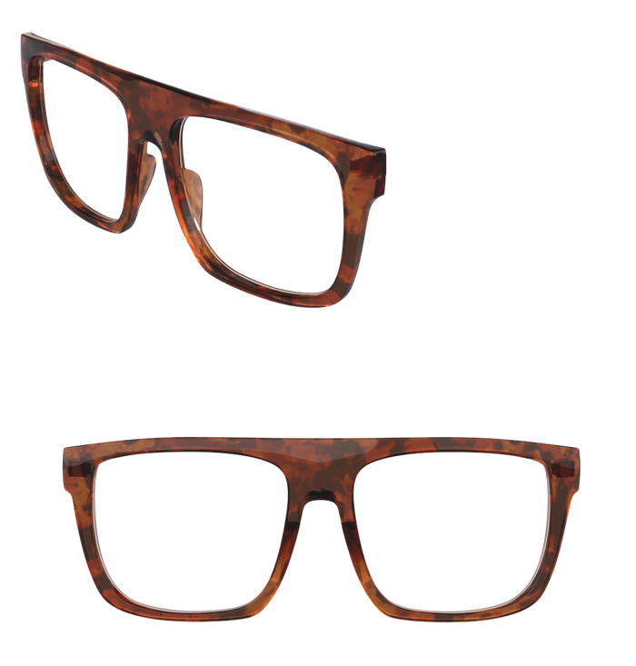 frame_tortoise