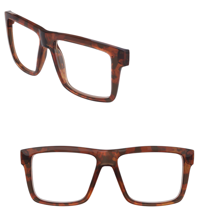 frame_tortoise