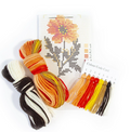 Dahlia Starter Kit