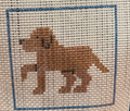 Dog Kit