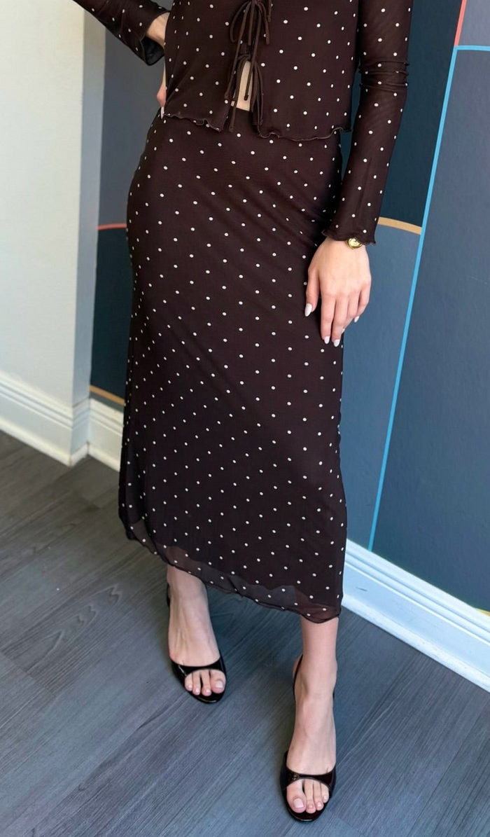 Eda Polka Dot Mesh Midi Skirt