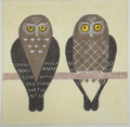 Elf Owls