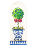 Ficus in Chinese Pot