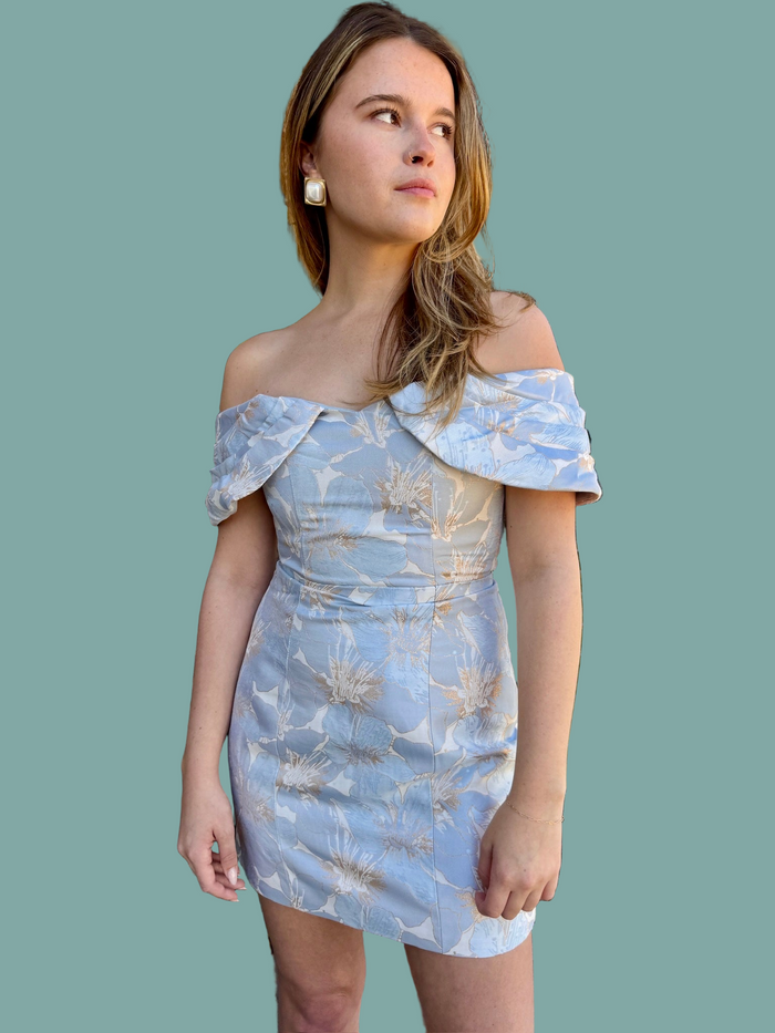 Fiorella Mini Dress