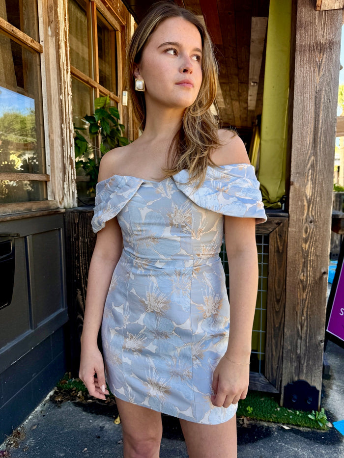 Fiorella Mini Dress