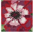 Full Bloom Anemone Coaster