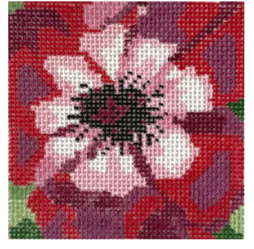 Full Bloom Anemone Coaster