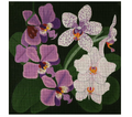 Giant Orchids