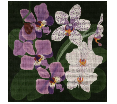 Giant Orchids