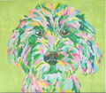 Golden Doodle