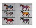 Horse Blankets Eyeglass Case
