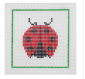 Ladybug Kit