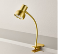LED Clip-On Reading Light