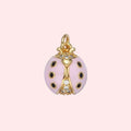 Lucky Charm Ladybug