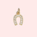 Lucky Horseshoe Charm