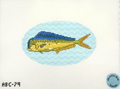 Mahi Mahi- Fish Series