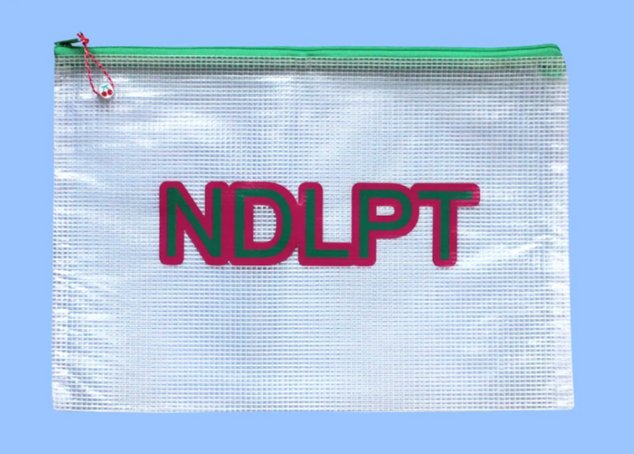 NDLPT Pink & Green Project Bag