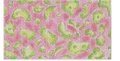 Pink and Green Cheetah