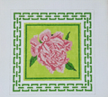 Pink Peony with Green Border