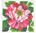 Pink Peony