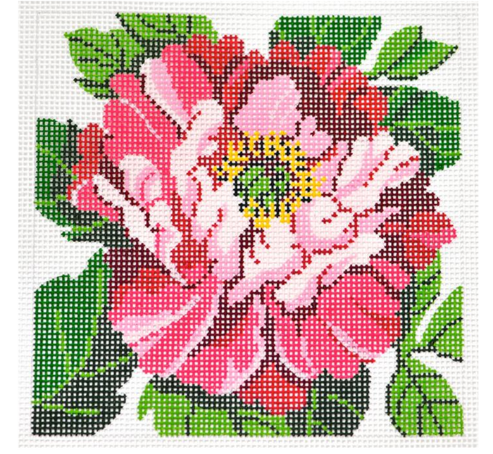 Pink Peony