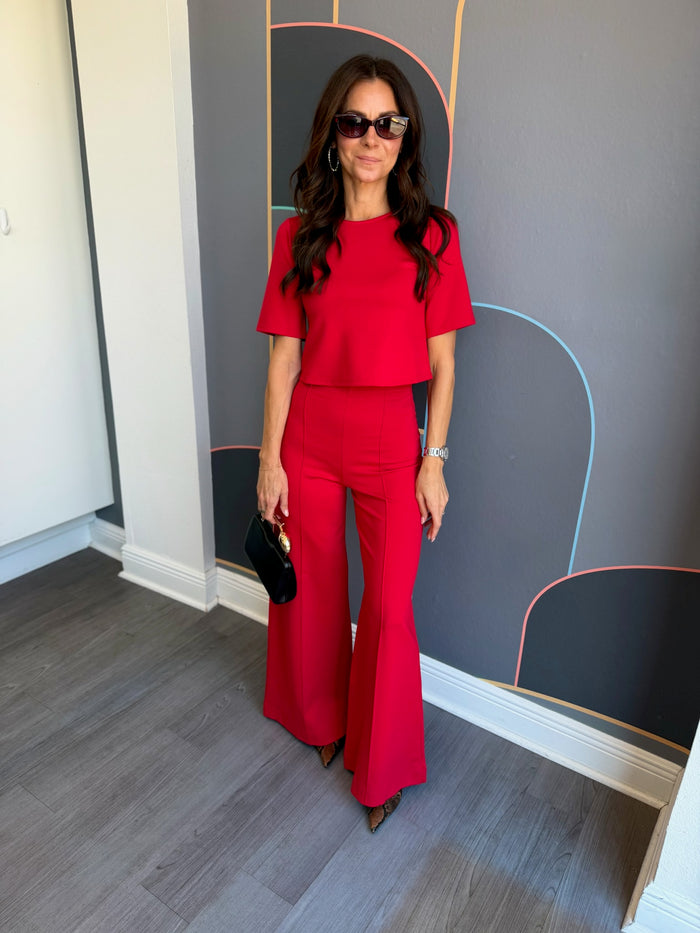 Ponte Knit Standard Wide Leg Pant