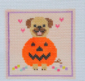Pug in a Pumpkin