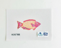 Purple and Orange Parrotfish
