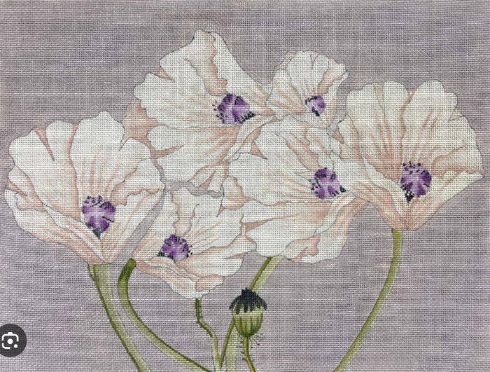 Purple Poppies