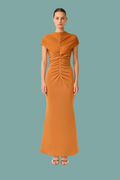 Roya Maxi Dress