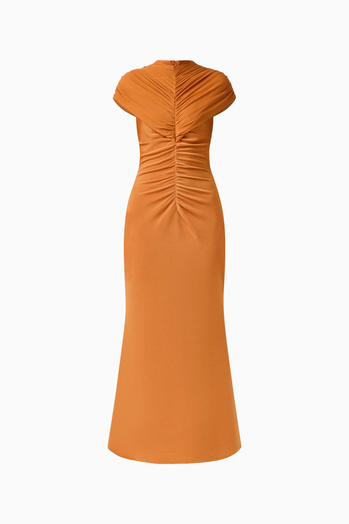 Roya Maxi Dress