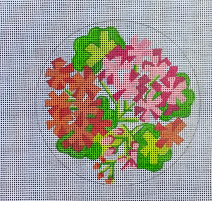 Salmon Geraniums