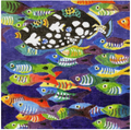 School Fish