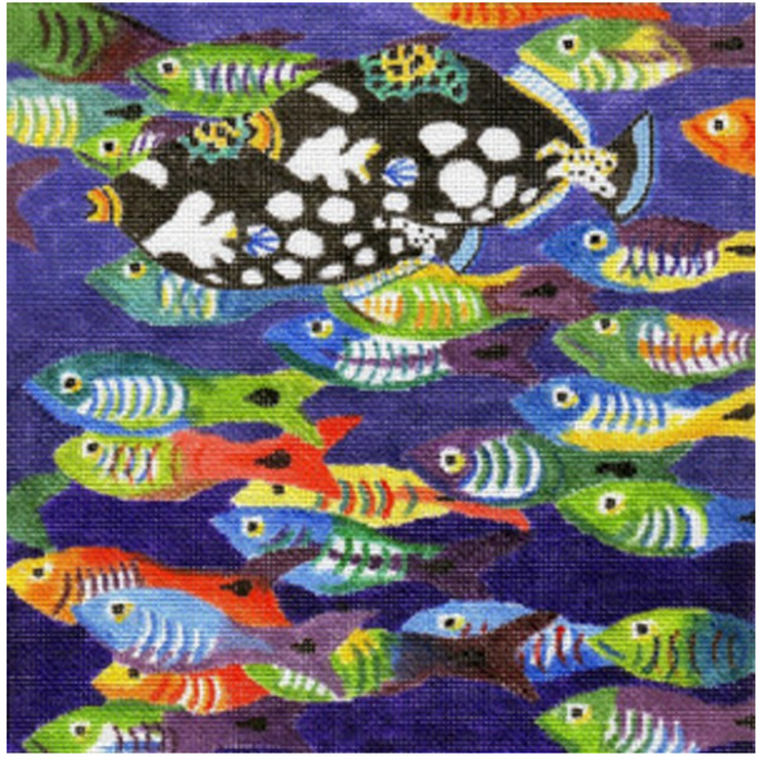 School Fish